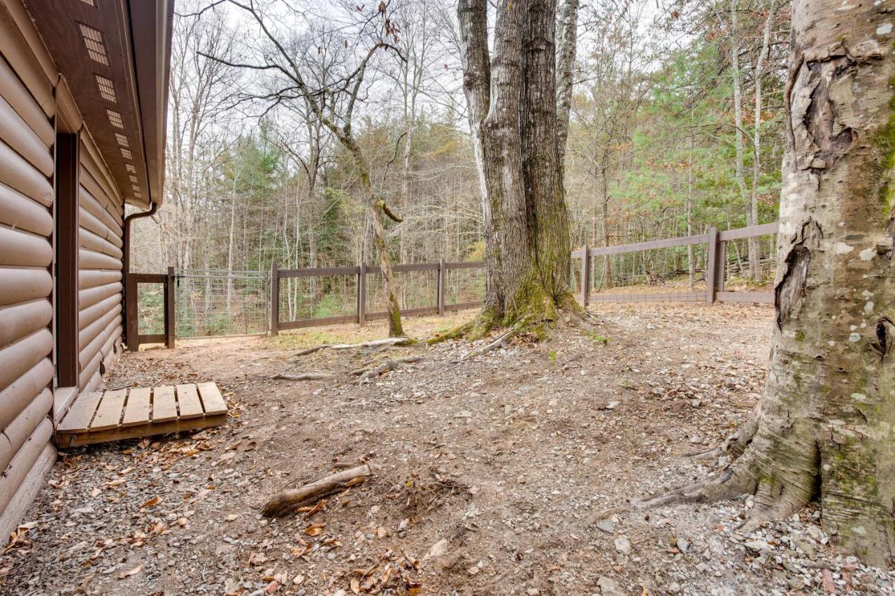 Peaceful Warne Cabin Fenced Yard And Screened Porch Brasstown Exterior foto